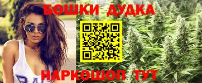 мдпв Новокубанск