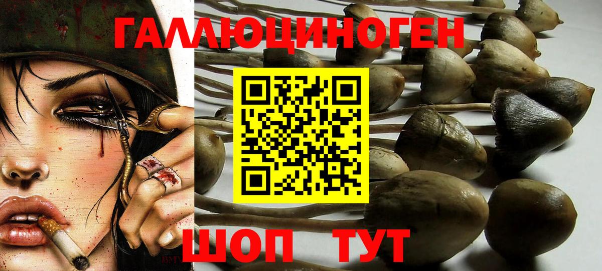Заринск  Галлюциногенные грибы GOLDEN TEACHER  Галлюциногенные грибы ЛСД  Вход с VPN 